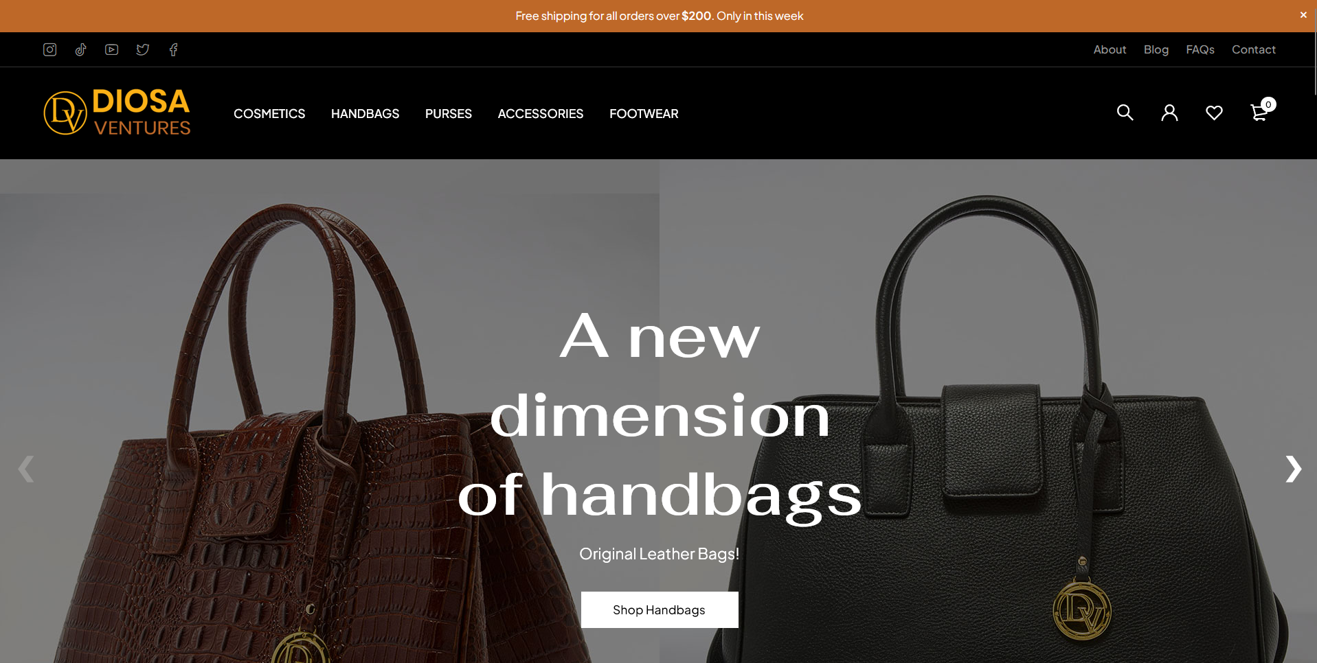 DIOSA Ventures - E-Commerce Retail & Brand Storefront